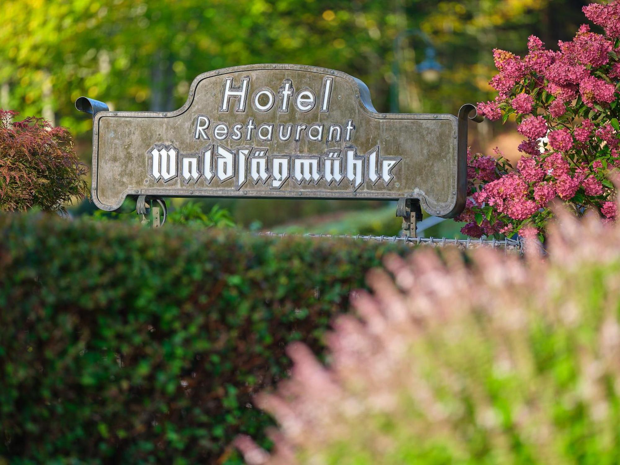Hotel Restaurant Waldsaegmuehle Pfalzgrafenweiler Ngoại thất bức ảnh